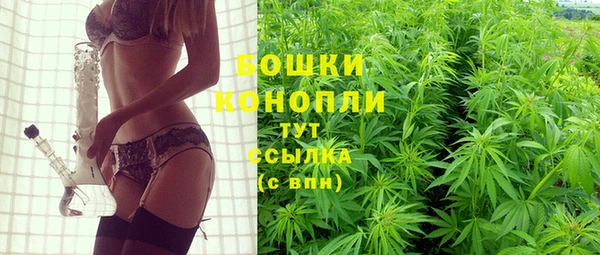 шишки Заволжск