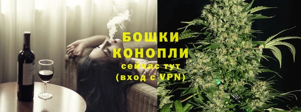 мдпв Протвино