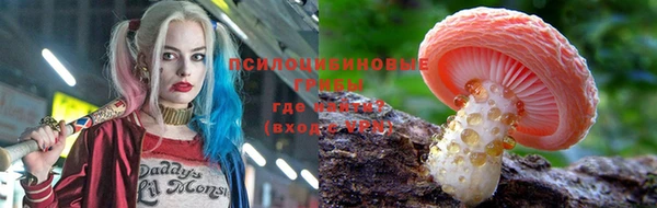 мдпв Протвино