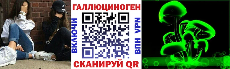 Псилоцибиновые грибы Psilocybe  Сретенск 